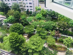 Blk 618A Punggol Drive (Punggol), HDB 4 Rooms #176684702